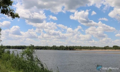 Туристическая база "Орлиное гнездо" фото