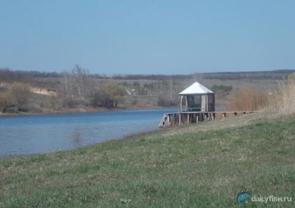 Рыбалка на пруду "Сазон" фото