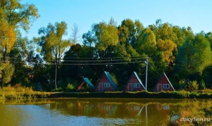Загородный клуб "Golden Fish" фото