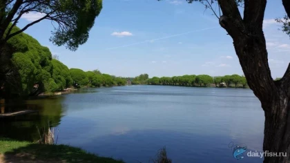 Рыбалка ВНИИ кормов в Лобне фото