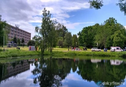 Рыбалка в Софрино фото