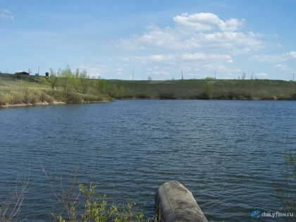 Курдюмские пруды фото