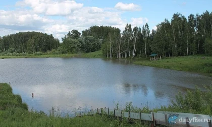 Рыбалка "Леоновы пруды" фото