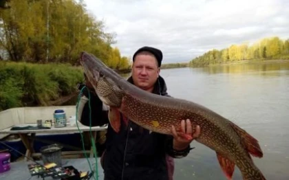 Рыбалка на реке Чулым с Максимом Чирковым фото
