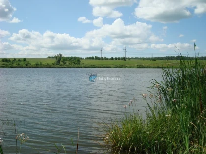 Серебрековский пруд фото