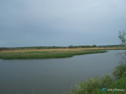 Октябрьский пруд фото