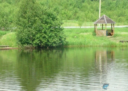 Культурно-рыболовное хозяйство "Светлые горы" фото