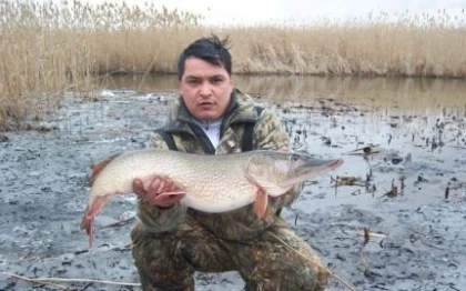 Рыбалка в дельте Волги с Ильясом Календировым фото