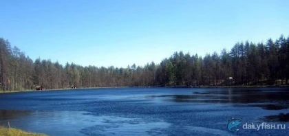 База отдыха "Тихая заводь" фото