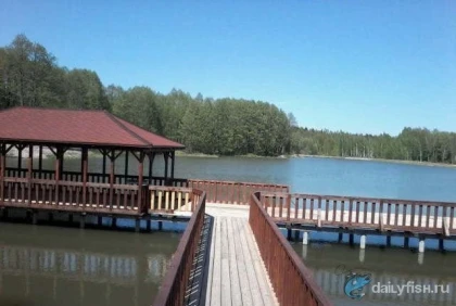 Рыбалка в Подзоричах фото
