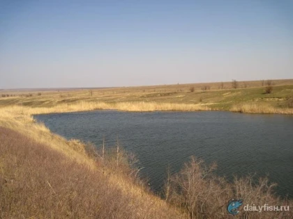 Пруд Белоглинка фото