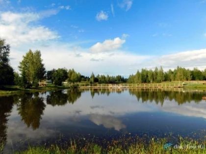 КРХ «Трифон» на Новой Риге фото