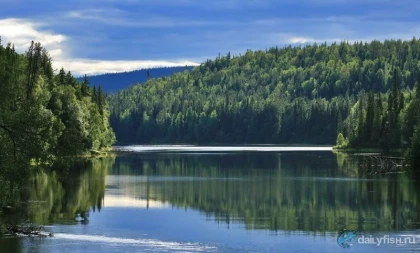Рыбалка на озере Паанаярви фото