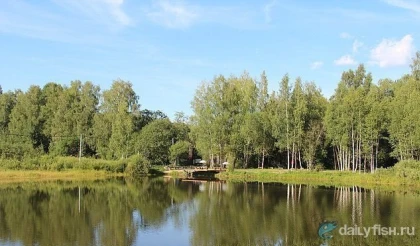 Рыбалка в Ваньково фото