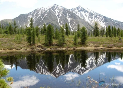 Туристическая база "Шумак" фото