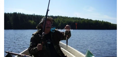 Угличское водохранилище фото