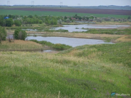 Готовицкий пруд фото