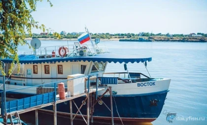 Рыбалка в дельте Волги, теплоход "Восток" фото
