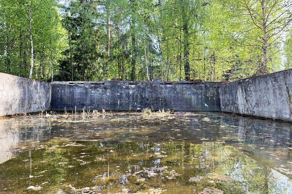 Необычная рыбалка в заброшнном бассейне, в лесу