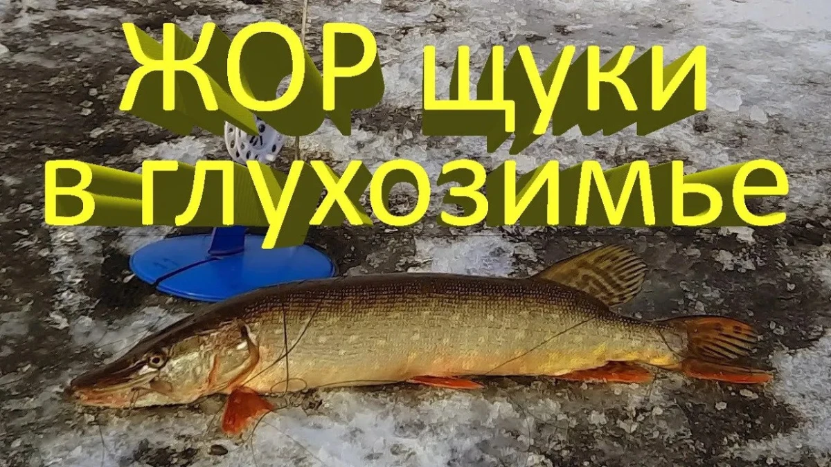 Щука весной на воблеры и джиг