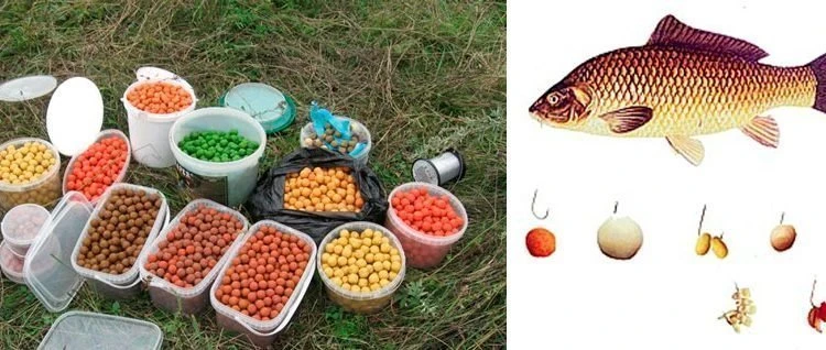 Лучшие приманки и наживки на сазана