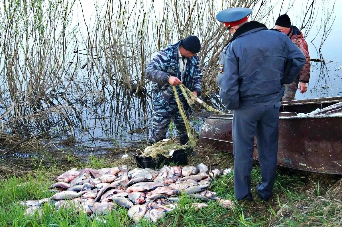 Как остановить браконьерство с помощью официального сайта Росрыболовства