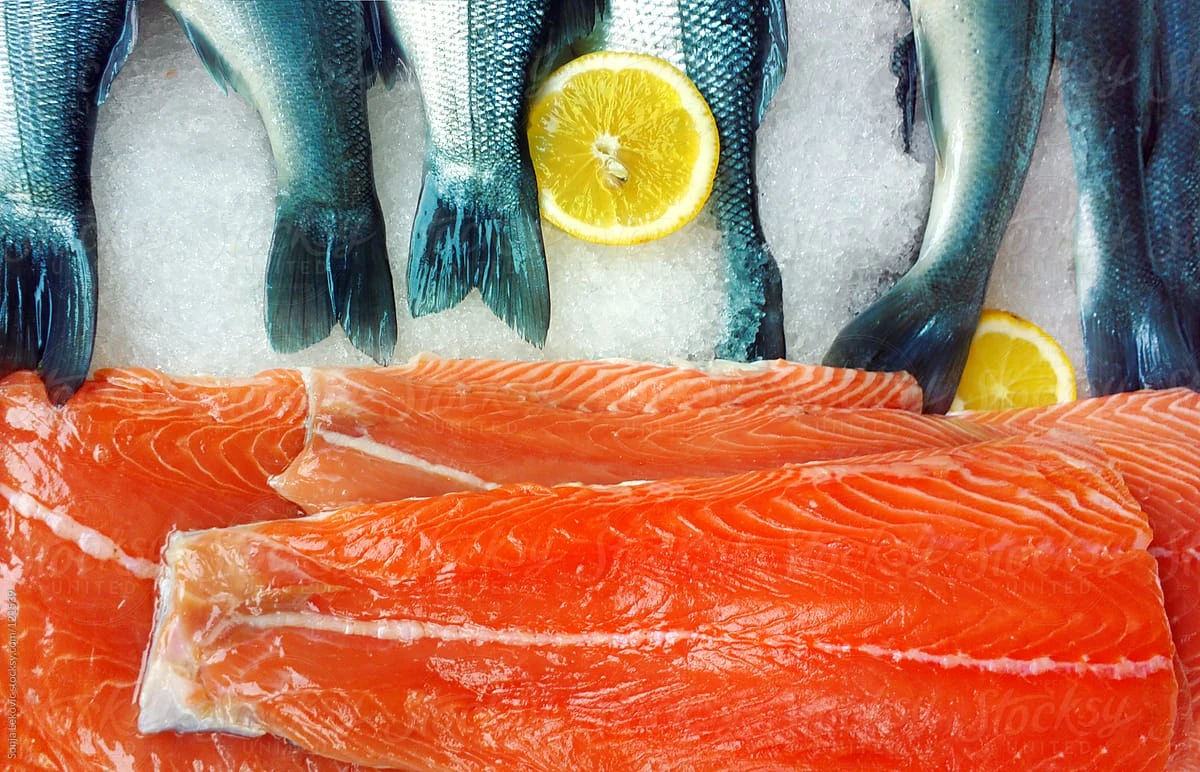 Полезные свойства рыбы: Богатство питательных веществ и вкус, предлагаемый природой