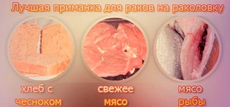 Приманка для рака