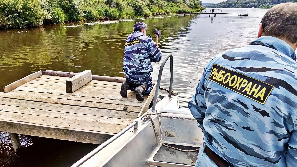 5 нарушений во время рыбалки, которые грозят штрафом
