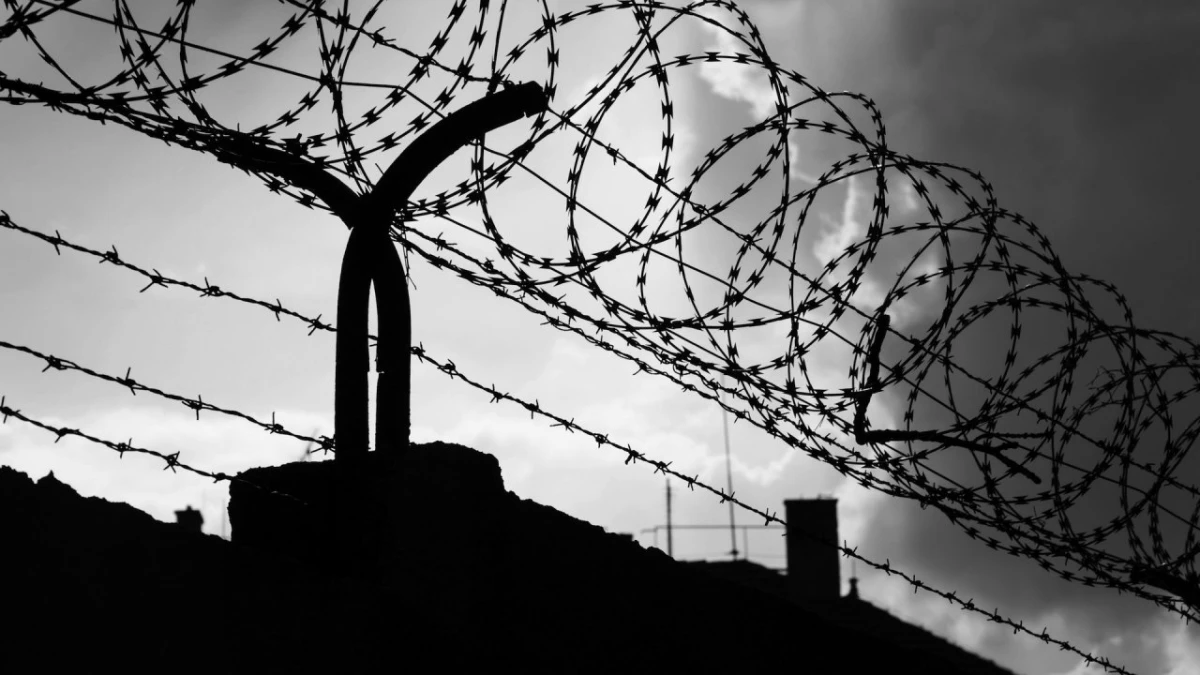 Браконьер из Пензенской области может попасть в тюрьму за 5 рыбин: нарушителя задержали с сетью