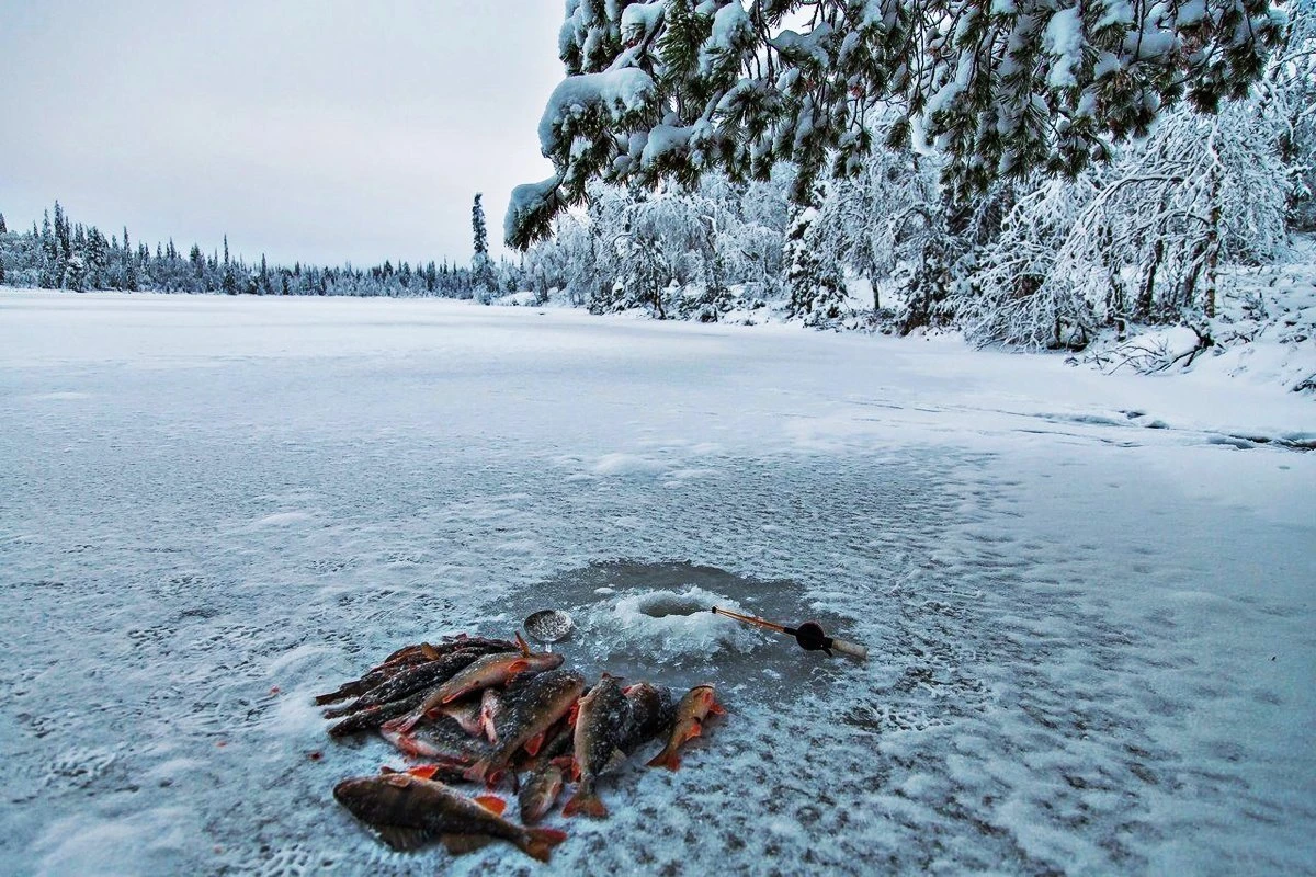 Секреты ловли на мормышку чёртик для начинающих