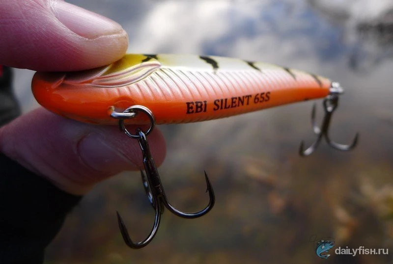 EBI SILENT 65S – тихий охотник