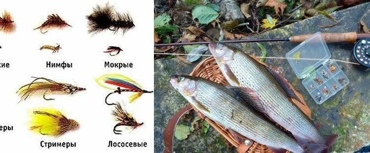 Ловля хариуса на мушку