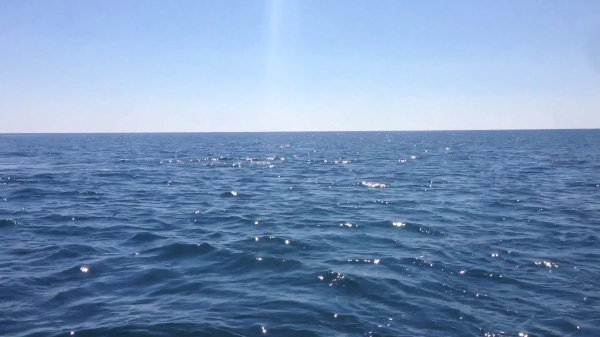 В Братском водохранилище установили искусственные нерестилища: рыба сможет отложить более 350 млн икринок
