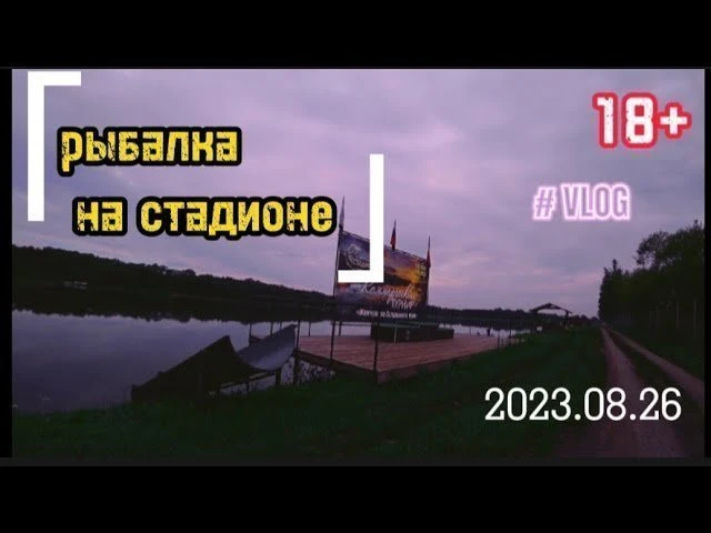 Карп в августе