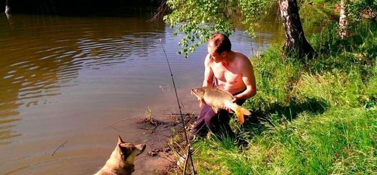 Бесплатная рыбалка в подмосковье, карты водоемов