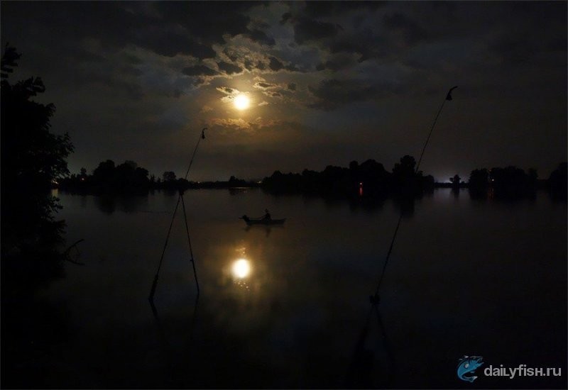 Влияние луны на клев рыбы 01.12.2021