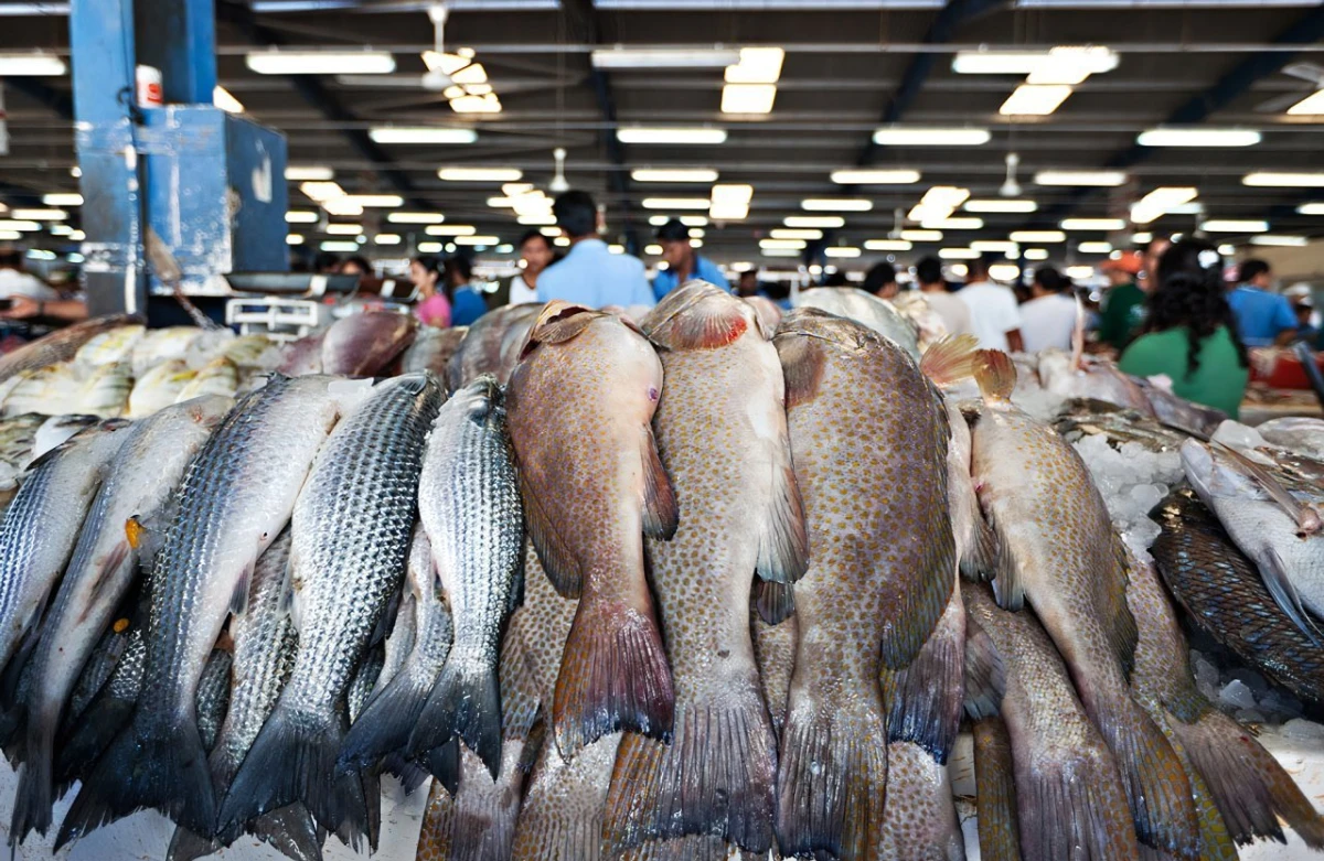 Причины почему рыба и морепродукты 2025 году подорожали аж на 25%
