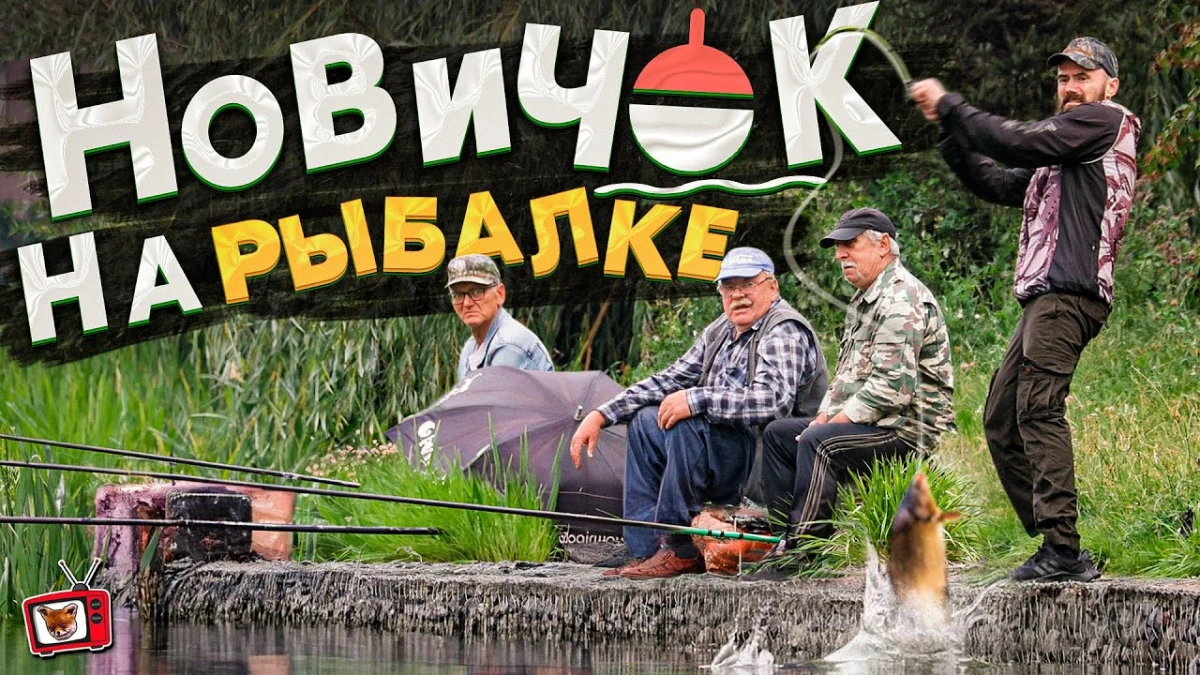 Поймал ОГРОМНОГО КАРПА на куриный ПОМЁТ