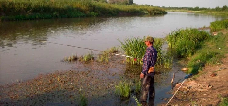 Ловля карася на реке