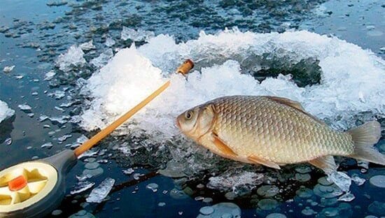 Ловля карася на мормышку зимой