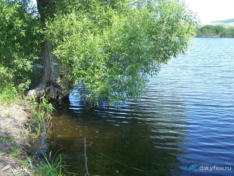 Афанасьевские пруды