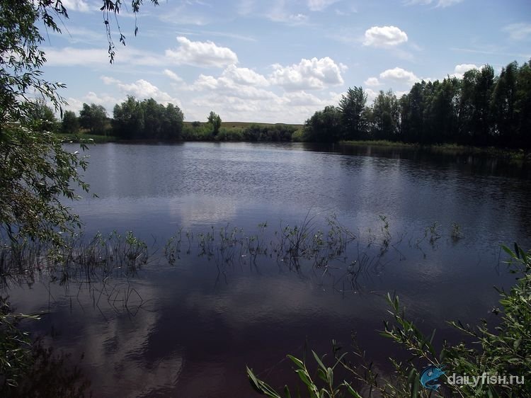 Екатериновское водохранилище