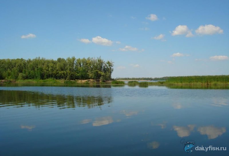 Павловское водохранилище