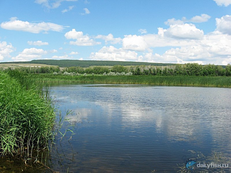 Пруд Агаревский