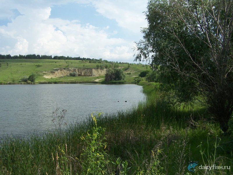 Пруд Сарайкино (Разбойничий пруд)