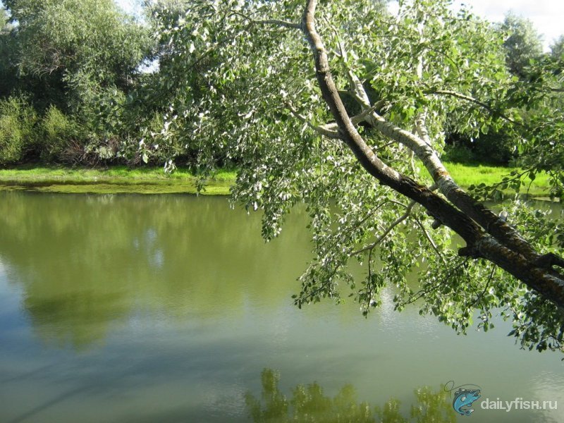 Старый Караман