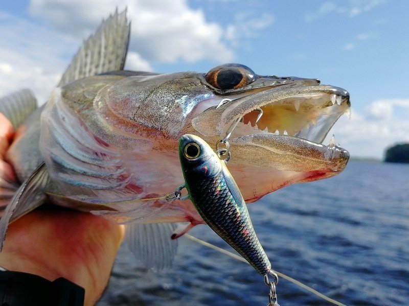 Kosadaka Fish Darts — правильный спиннер