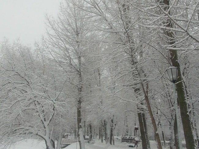 Флисовые перчатки DAM
