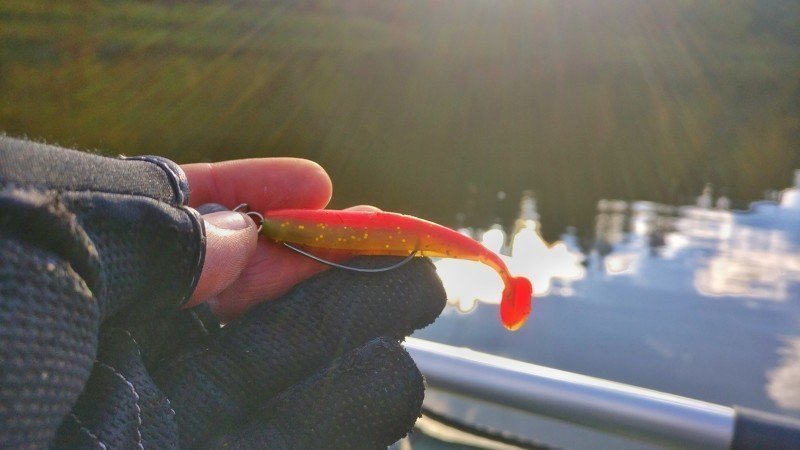 Luremax Slim Shad
